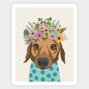 Dog in floral crown wearing a polka dot blue jumper Sticker